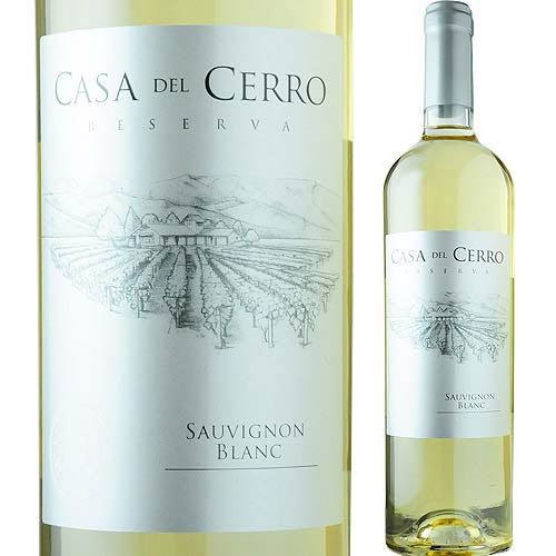 カサ・デル・セロ・レゼルヴァ・ソーヴィニョン・ブラン ヴィニャ・マーティ 2021年 チリ セントラル・ヴァレー 白ワイン 辛口 750ml