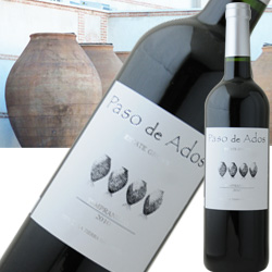 送料無料 ケース販売12本入 パソ・デ・アドス・テンプラニーリョ ボデガス・アルスピデ 2018年 スペイン カスティーリャ・ラ・マンチャ 赤ワイン ミディアムボディ 750ml