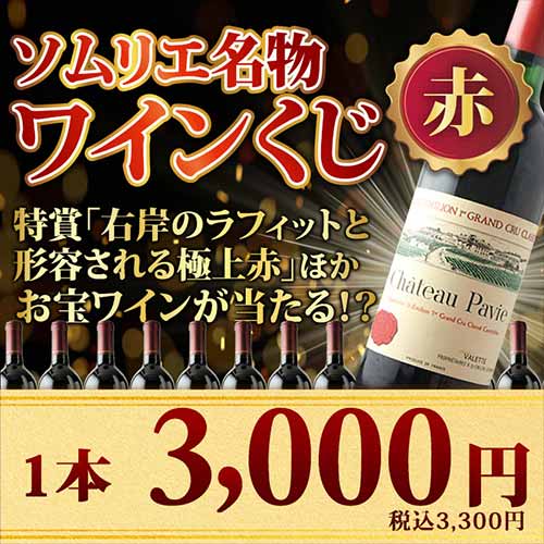 【数量・期間限定！】ソムリエ名物ワインくじ(赤ワイン)