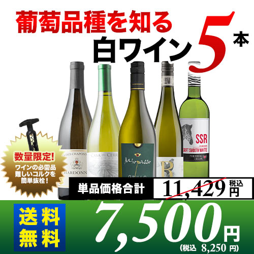 葡萄品種を知る白ワイン5本セット 送料無料 白ワインセット「4/23更新」