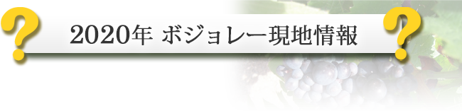 秋ワイン特集 ワイン通販ならソムリエ厳選の ワインショップソムリエ にお任せ