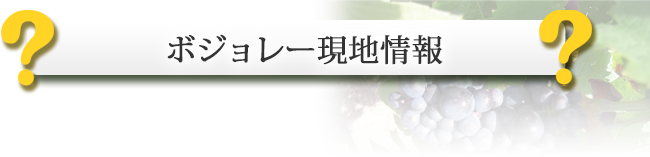 11月の第3木曜日が解禁日 ボジョレー ヌーボー ワイン通販ならワインショップソムリエ