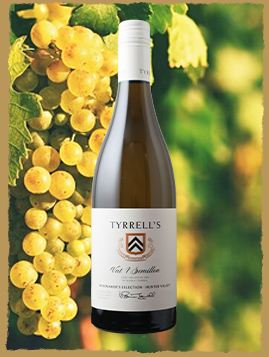 ティレルズ ヴァット 1 ハンター セミヨン