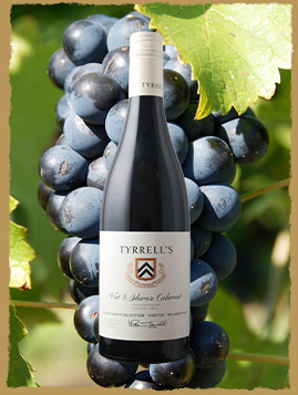 ティレルズ・ヴァット8・ハンター シラーズ カベルネ