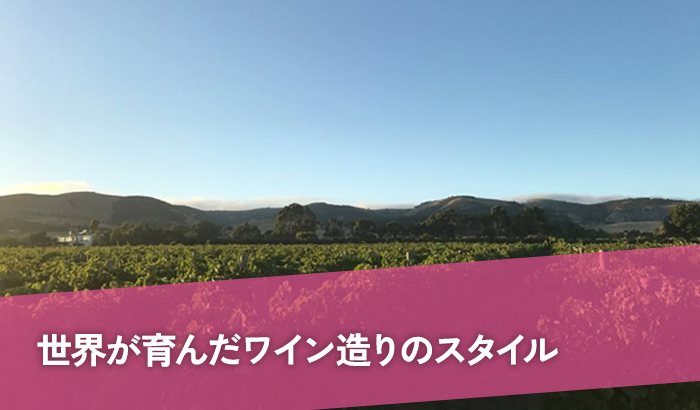 世界が育んだワイン造りのスタイル