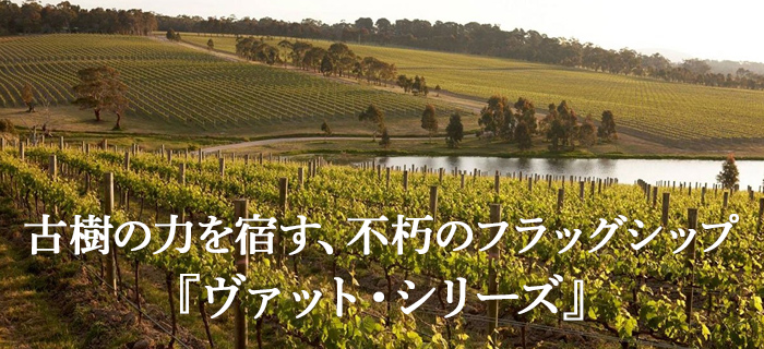 古樹の力を宿す、不朽のフラッグシップ『ヴァット・シリーズ』