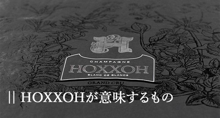 HOXXOHが意味するもの