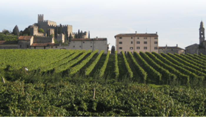 2000年以上の歴史を持つ白ワイン「ソアーヴェ」