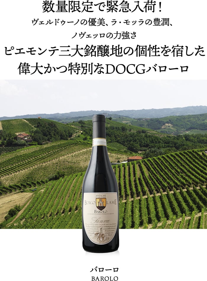 数量限定で緊急入荷!3つの銘醸地に抱かれた特別な土地と伝統を紡ぐ小さな家族経営ワイナリーが造る、ピエモンテの誇り、気高きDOCG