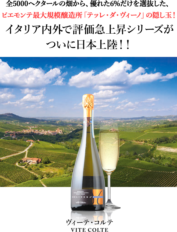全5000ヘクタールの畑から、優れた6％だけを選抜した、ピエモンテ最大規模醸造所「テッレ・ダ・ヴィーノ」の隠し玉！イタリア内外で評価急上昇シリーズがついに日本上陸！！
