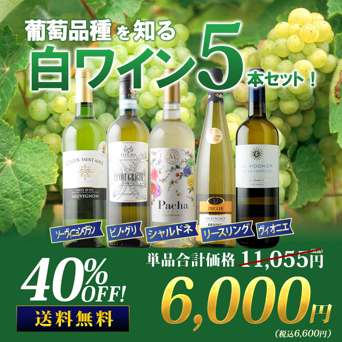 葡萄品種を知る白ワイン5本セット