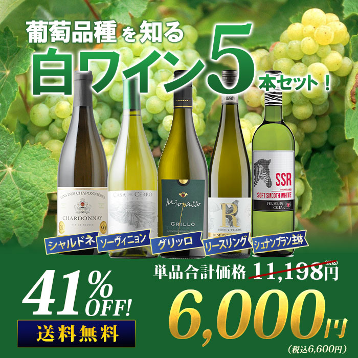 葡萄品種を知る白ワイン5本セット