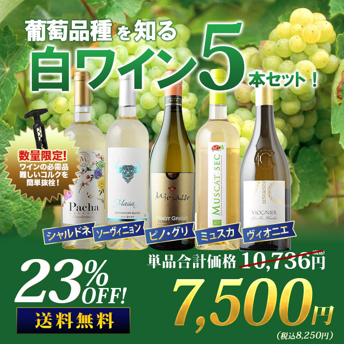 葡萄品種を知る白ワイン5本セット
