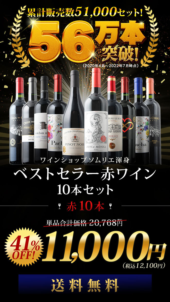 当店ベストセラー赤ワイン10本セット 送料無料 赤ワインセット「6/29