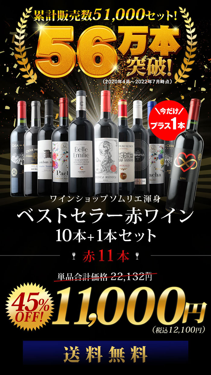 今だけプラス1本！当店ベストセラー赤ワイン10本セット 送料無料