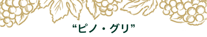 期間限定セットの中身はこちら