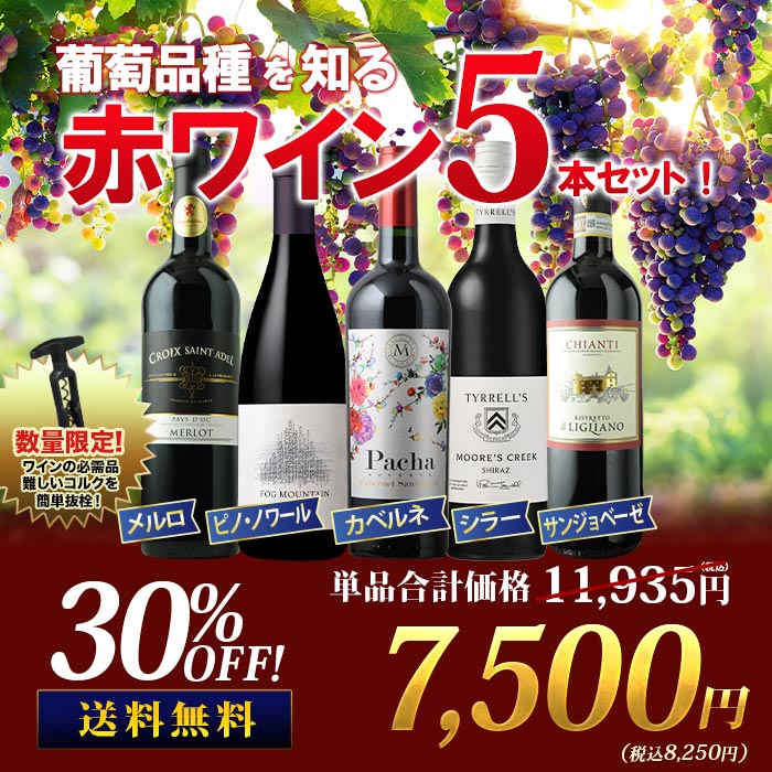 葡萄品種を知る赤ワイン5本セット