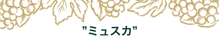 期間限定セットの中身はこちら