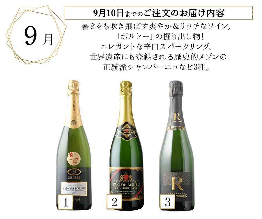 ソムリエプレミアムクラス定期便 シャンパン入り上級スパークリング
