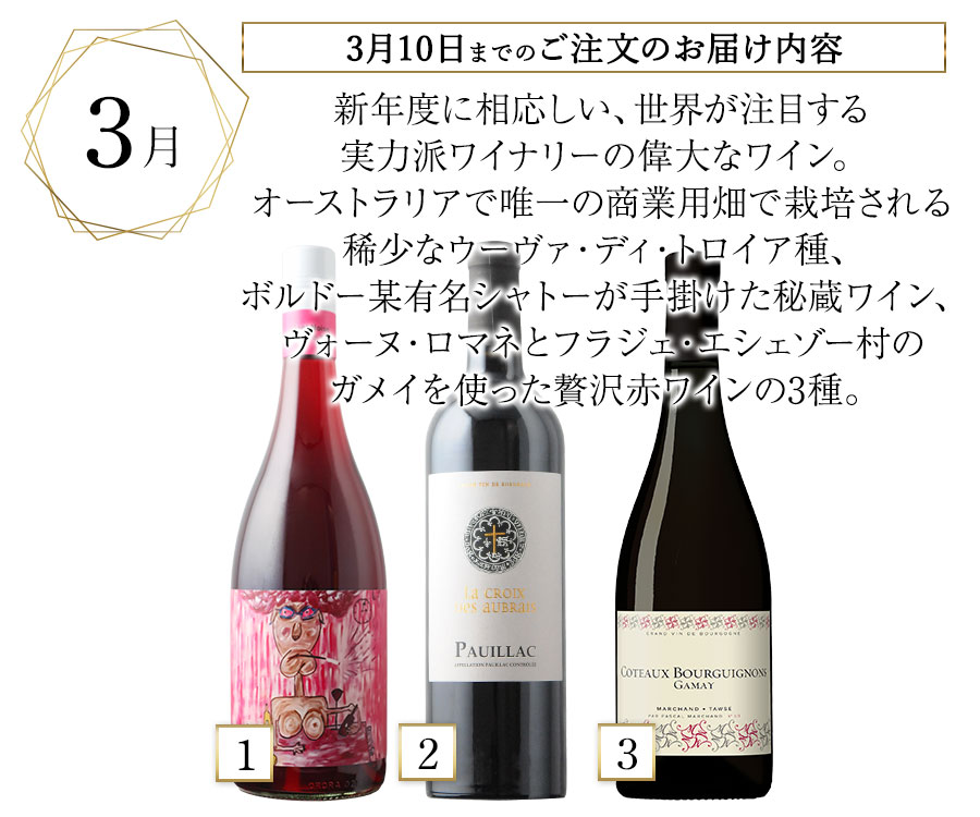 ソムリエプレミアムクラス定期便 贅沢赤ワイン3本セット（1ヶ月毎お