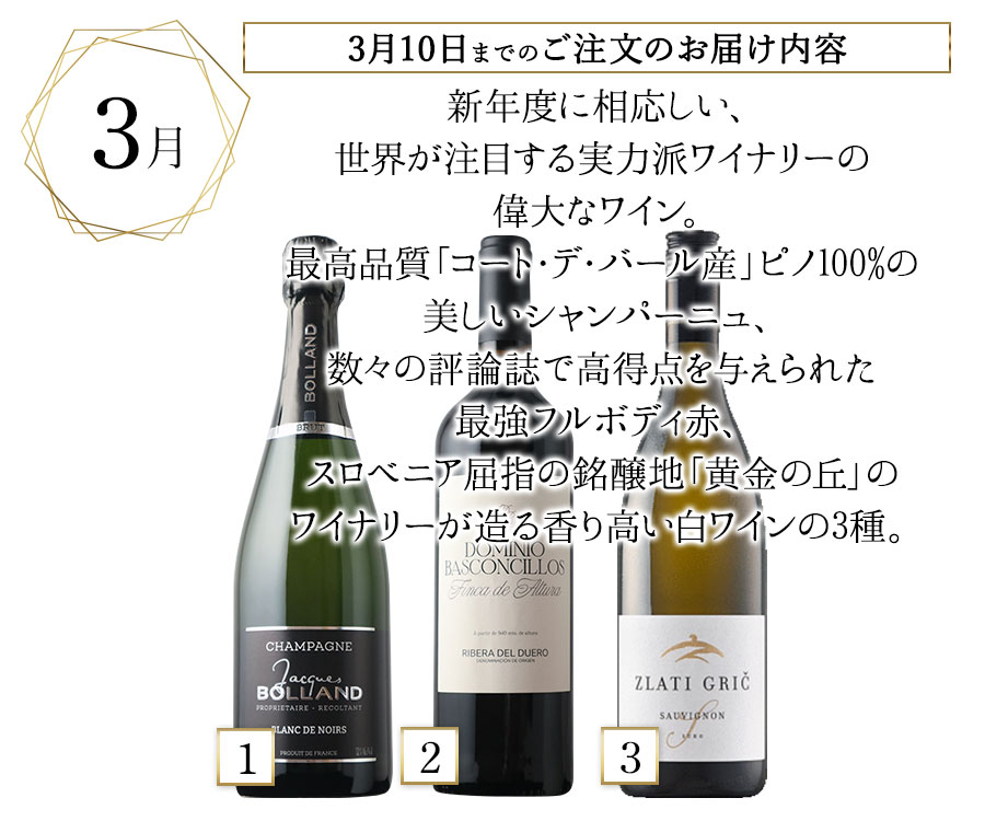 ソムリエプレミアムクラス定期便 贅沢バラエティ3本セット（1ヶ月毎お