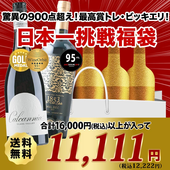驚異の900点超え！最高賞トレ・ビッキエリ！！日本一挑戦福袋