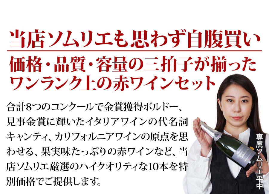 当店ソムリエが選んだ「ちょっといいワイン」赤ワイン10本セット 送料