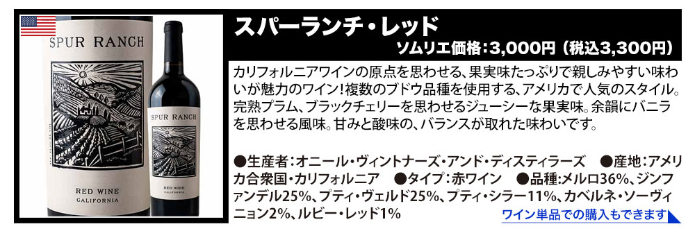 当店ソムリエが選んだ「ちょっといいワイン」赤ワイン10本セット 送料