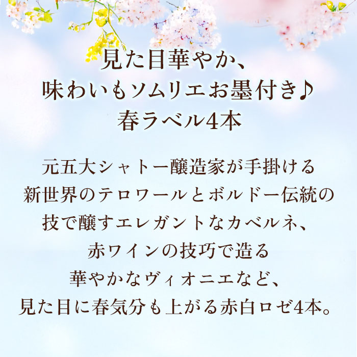 訳ありSALE限定セット！