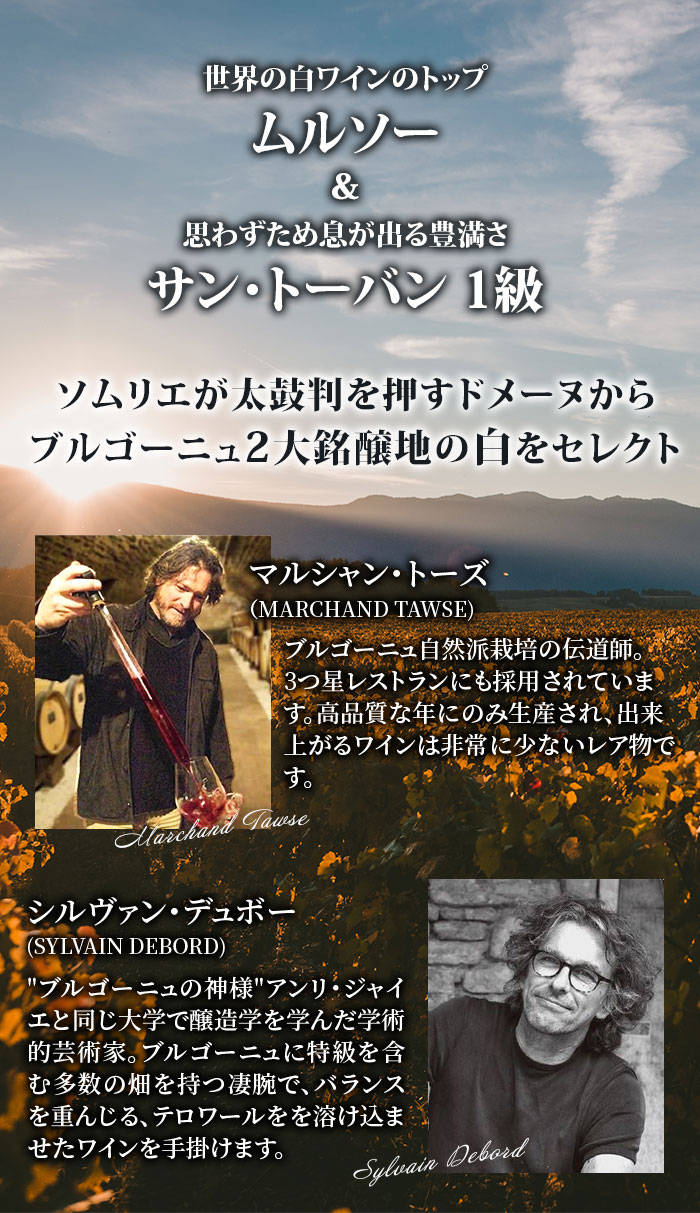 夏の贅沢 ムルソ＆1級 ブルゴーニュ白究極飲み比べ2本セット