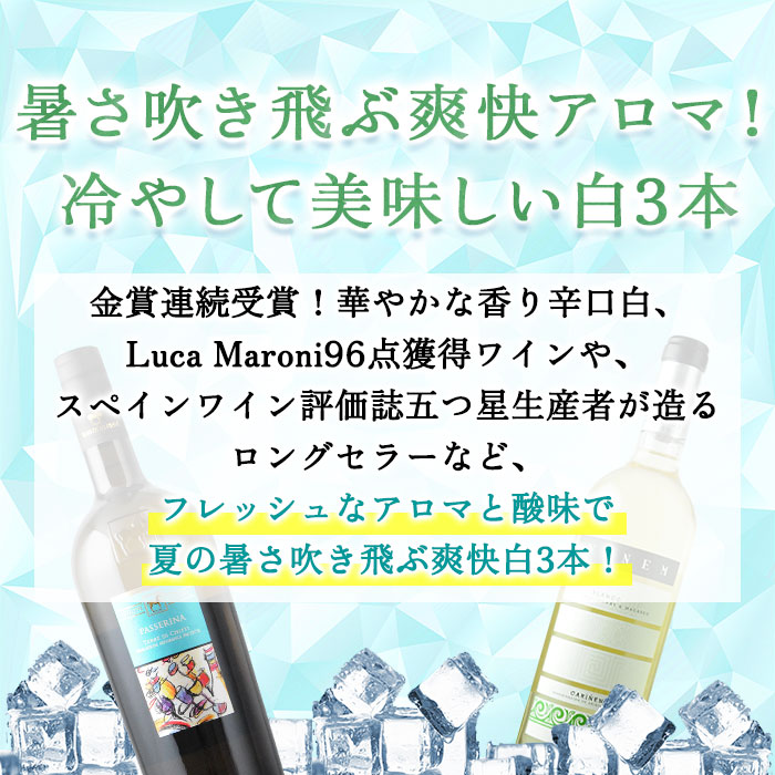 冷やして美味しい！夏の白ワイン3本セット 白ワインセット | ワイン通販ならワインショップソムリエ