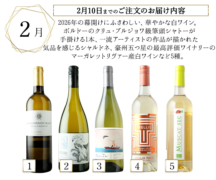 ソムリエプレミアムクラス定期便 高評価白ワイン5本セット（1ヶ月毎お