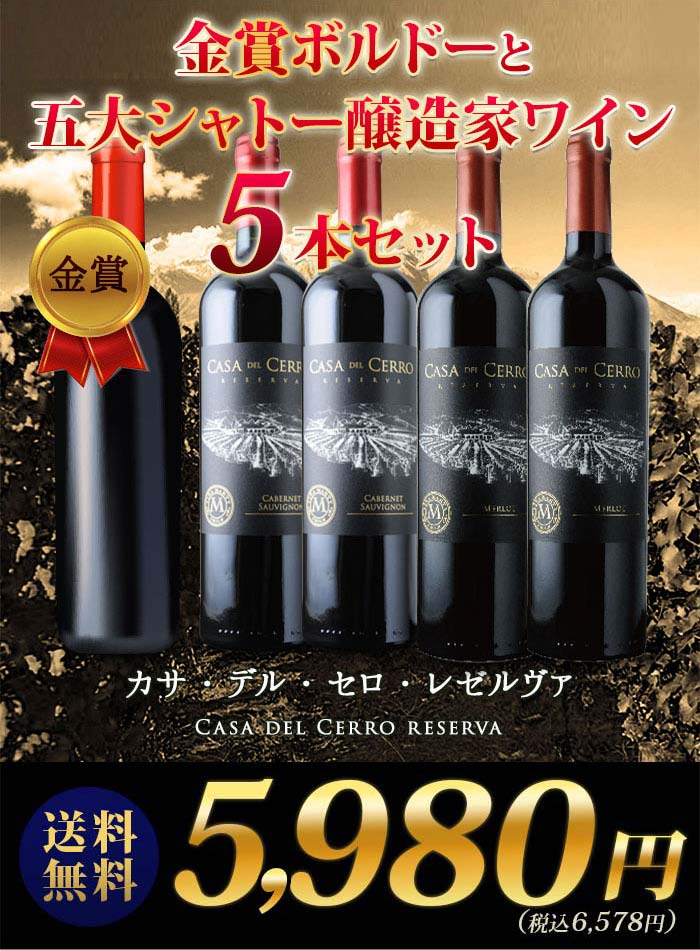 金賞ボルドーと五大シャトー醸造家ワイン5本セット（赤5本）送料無料 