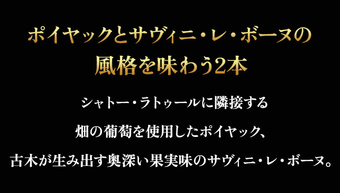 セラーマスター定期便 ボルドー・ブルゴーニュ赤2本