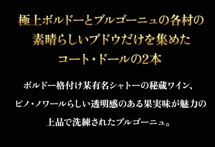 セラーマスター定期便 ボルドー・ブルゴーニュ赤2本