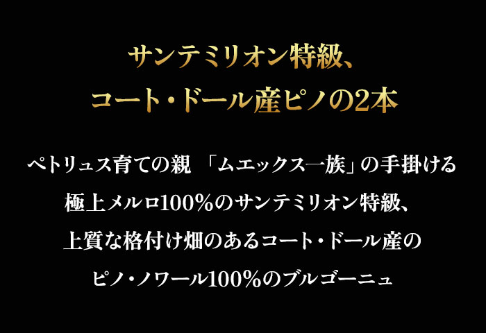セラーマスター定期便 ボルドー・ブルゴーニュ赤2本