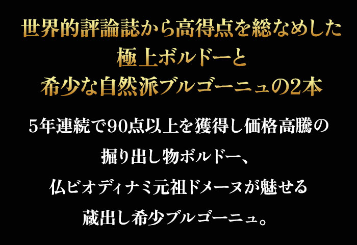 セラーマスター定期便 ボルドー・ブルゴーニュ赤2本