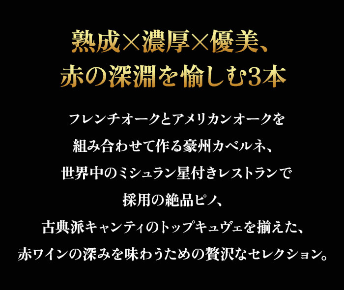 セラーマスター定期便 熟成飲み頃赤3本