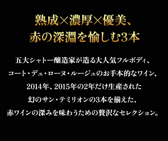 セラーマスター定期便 熟成飲み頃赤3本