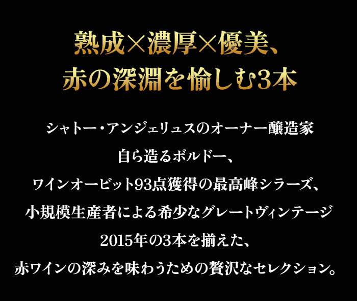 セラーマスター定期便 熟成飲み頃赤3本