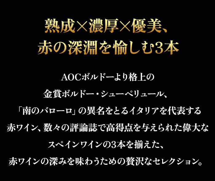 セラーマスター定期便 熟成飲み頃赤3本
