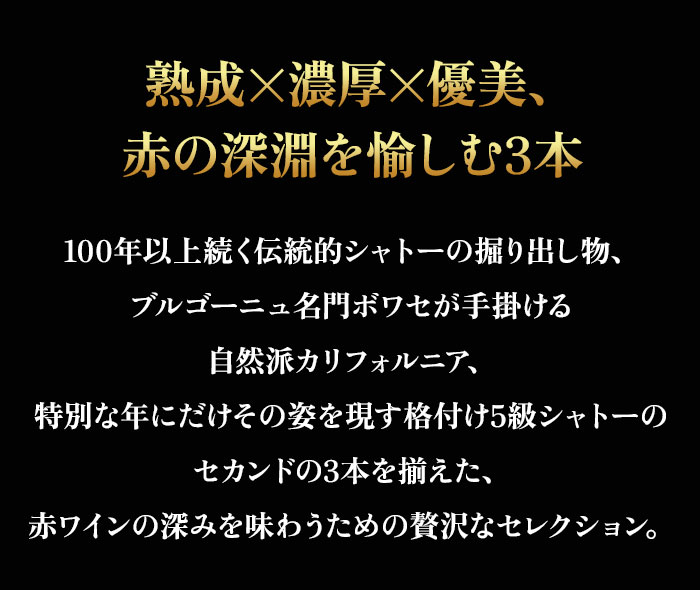 セラーマスター定期便 熟成飲み頃赤3本