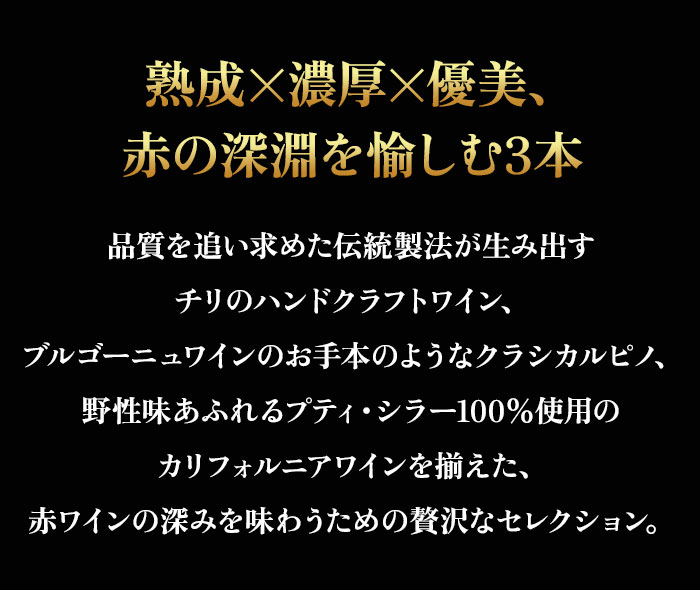 セラーマスター定期便 熟成飲み頃赤3本
