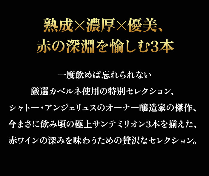 セラーマスター定期便 熟成飲み頃赤3本