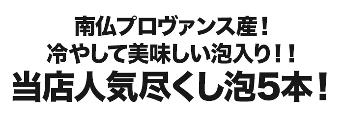 売れ筋！当店人気5本セット