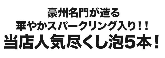 売れ筋！当店人気5本セット