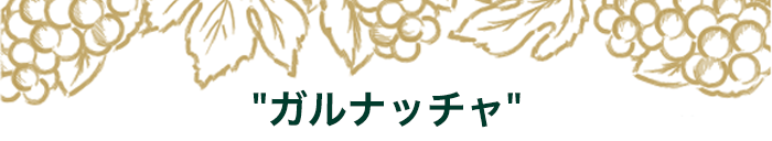 期間限定セットの中身はこちら