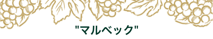 期間限定セットの中身はこちら