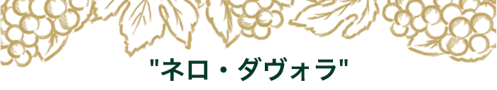 期間限定セットの中身はこちら