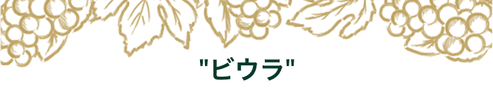 期間限定セットの中身はこちら